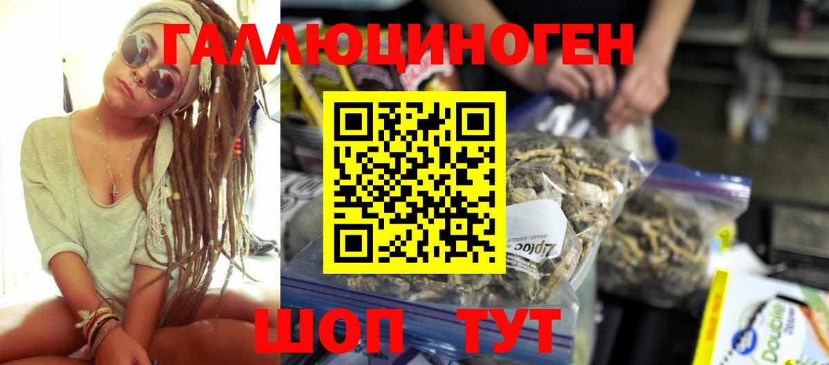 Шарыпово  Псилоцибиновые грибы мухоморы  закладки  Вход с VPN 